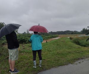 Ulewne deszcze na Śląsku. Trudna sytuacja na Żywiecczyźnie