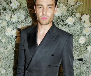 Liam Payne 