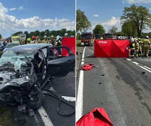 Śmiertelny wypadek z udziałem więźniarki! 33-latka nie żyje. Wielki karambol na DK12 pod Opocznem