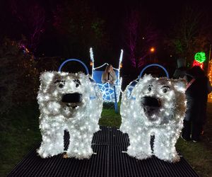 Park iluminacji w Lublinie