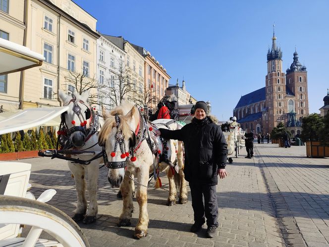 obrońcy zwierząt zniechęcają turystów do przejażdżek dorożkami 