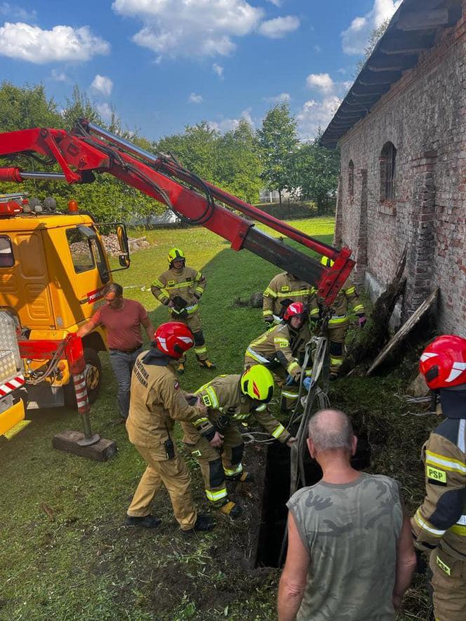 Strażacy uratowali konia, który wpadł do betonowego zbiornika z wodą