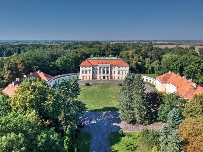 Pałac w Witosławiu