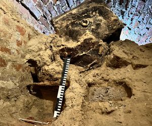 Pierwsze odkrycia w tajemniczej krypcie w Kazimierzu Biskupim