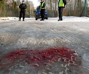 Strzelanina w Magdalence. Mija 20 lat od największej tragedii w polskiej policji