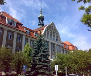 Gdański Uniwersytet Medyczny opracował model AI do wykrywania tętniaka mózgu 