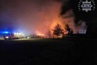 Pożar ośrodka jeździeckiego Lando