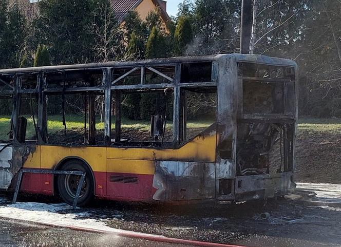 Autobus miejski spłonął doszczętnie na środku ulicy! Szok w Łodzi [ZDJĘCIA]