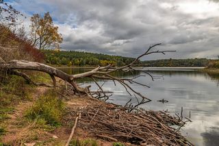 Zalew Wióry. Odkrycie tropów dinozaurów i 101 zalanych domów
