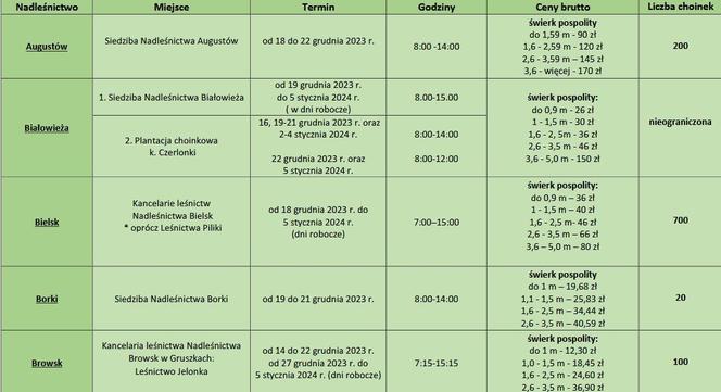 Tanie choinki w Białymstoku. Ciekawa propozycja leśników [CENNIK]