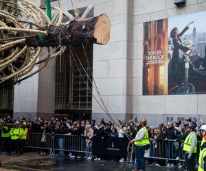 W Nowym Jorku stanęła choinka. Tłumy towarzyszyły jej transportowi