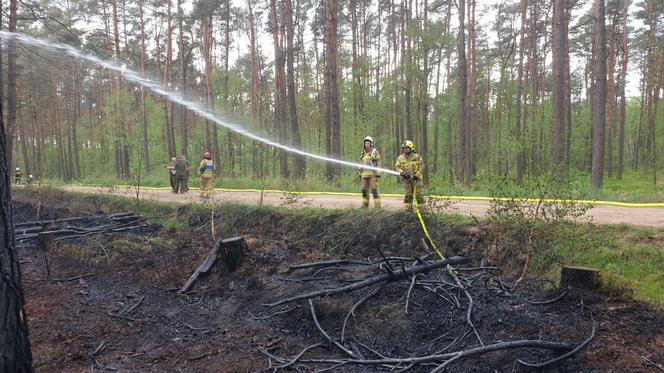 Podpalacz grasuje pod Pleszewem?! "Ktoś chyba świetnie się bawi"