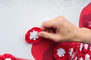 Kotyliony dla mieszkańców Warszawy