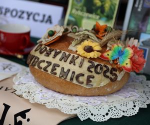 Dożynki wojewódzkie 2025 w Świdniku