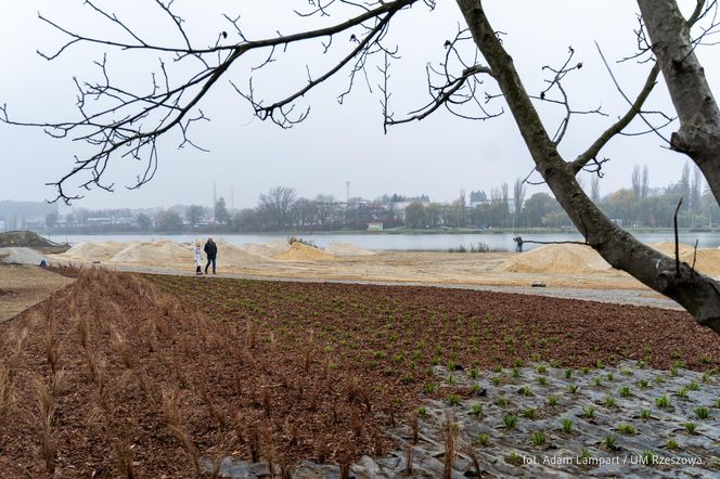 Nowa miejska plaża w Rzeszowie już powstaje