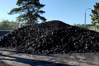 Preferencyjny zakup węgla w Toruniu. Za ile?
