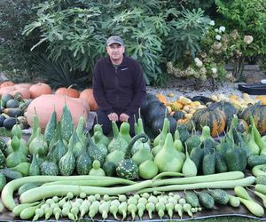 Dyniowe gospodarstwo Łukasza Piwko w Pawłowie