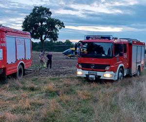 Dolny Śląsk: Dwóch kajakarzy wpadło do wody i cudem wydostali się na brzeg! Przeżył tylko jeden 