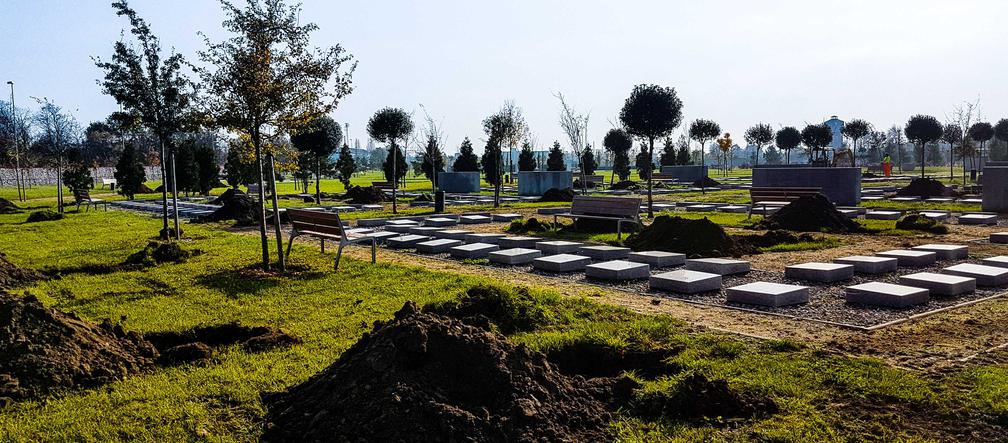 Coraz więcej zieleni na Cmentarzu Zachodnim