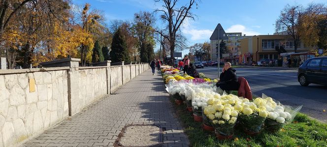 Przygotowania do Wszystkich Świętych Zamość