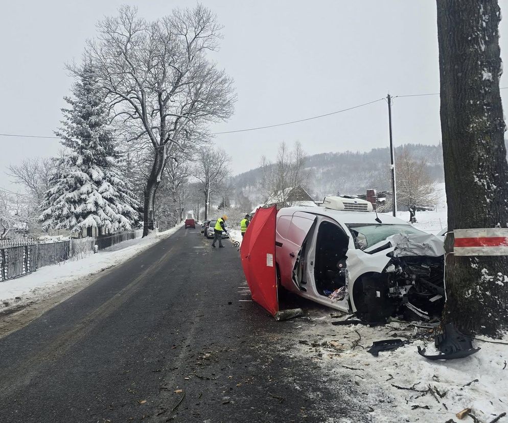 Koszmar na drodze koło Jawora. Kierowca dostawczaka z impetem uderzył w drzewo 