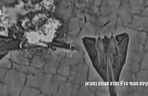 F-14 Tomcat irańskich sił powietrznych