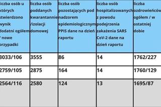 Koronawirus w województwie śląskim. Prawie 4 tysiące nowych zakażeń 12 listopada. Najwięcej w Sosnowcu [GALERIA]