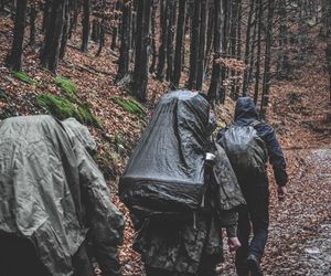 Rusza „wGotowości” – bezpłatne szkolenia obronne dla każdego Polaka. Jak się zapisać i co zyskasz?