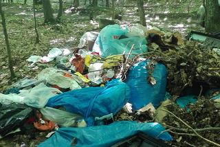 Ministerstwo Środowiska planuje zwiększyć kary za zaśmiecanie lasów z 500 do 5 tys. zł