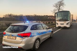 Pijany kierowca autobusu wiózł pasażerów. Zderzył się z ciężarówką i uciekł!