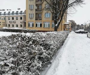 Zimowe klimaty w Siedlcach. Zobacz zdjęcia!