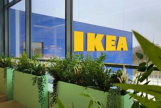 IKEA w Szczecinie: Otwarcie coraz bliżej. Firma stawia na ekologię [ZDJĘCIA, WIDEO]