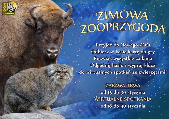 Zoo w Poznaniu