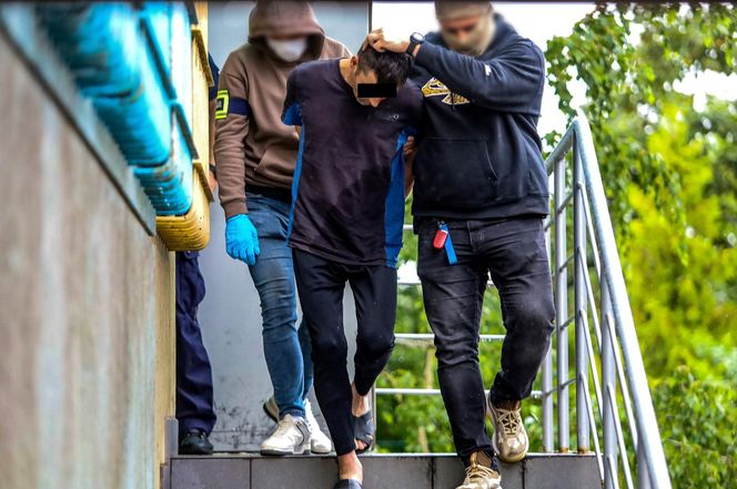 Rodzinny horror w dawnym tartaku