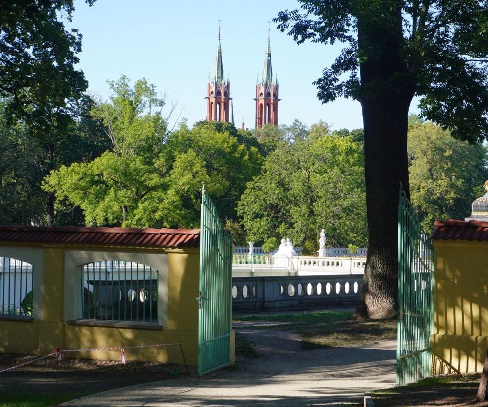 Białystok znów w czołówce! Stolica Podlasia wśród najzdrowszych miast w Polsce