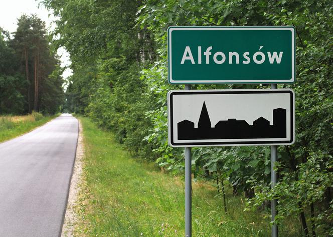 Alfonsów (pow. płocki)