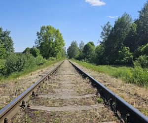 Było, zniknęło i... powróciło. Zobacz magiczne jezioro Track na obrzeżach Olsztyna [ZDJĘCIA]