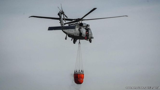 Wrocław. Ćwiczenia na terenie Portu Lotniczego im. Mikołaja Kopernika [ZDJĘCIA].