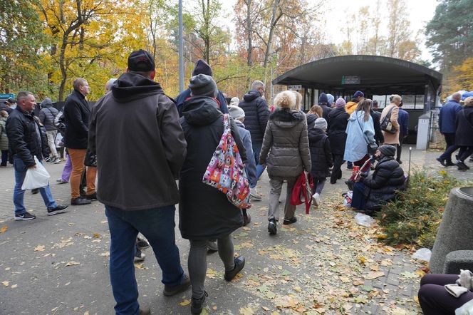 Tłumy na cmentarzu na Miłostowie