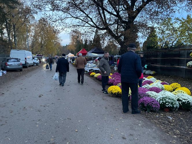 Cmentarz w Łodzi - 1 listopada