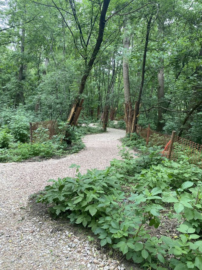 Park Żerański w Warszawie