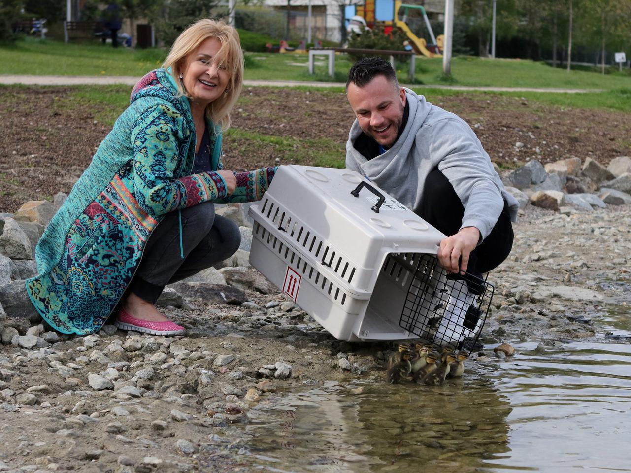 Jeżowska eksmitowała kaczą rodzinę