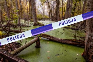 Makabryczne odkrycie na mokradłach. Kim jest zmarła kobieta?