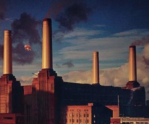 Pink Floyd - 5 ciekawostek o albumie “Animals”