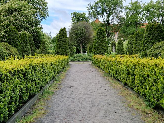 Sielanka, czyli zielona perła Bydgoszczy, o której mało kto pamięta!