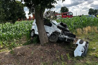 W poważnym wypadku w powiecie łukowskim rannych zostało pięć osób