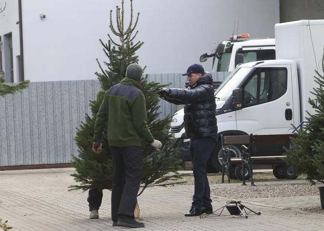 Kurski szykuje się na święta