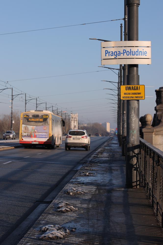  Wścieklizna atakuje w Warszawie