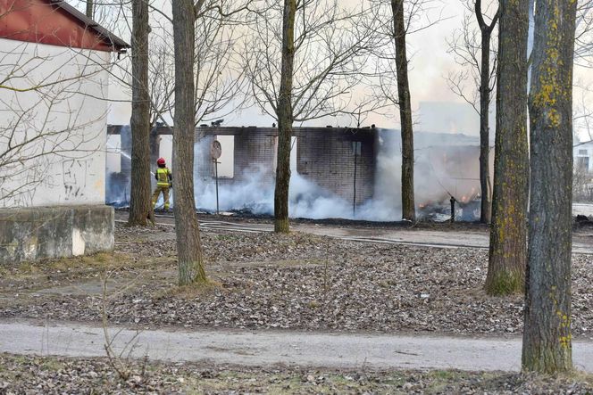 Pożar pustostanów przy ul. Grudziądzkiej w Toruniu. To nie pierwszy raz!