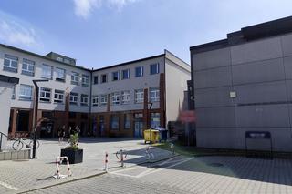 Łoś wskoczył przez okno szkoły. Jedna osoba została poszkodowana